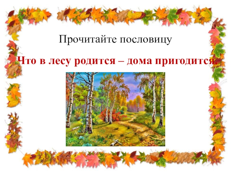 Прочитайте пословицуЧто в лесу родится – дома пригодится.