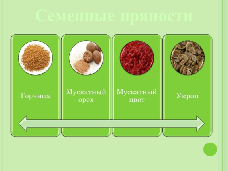 Классификация пряностей по общим признакам схема