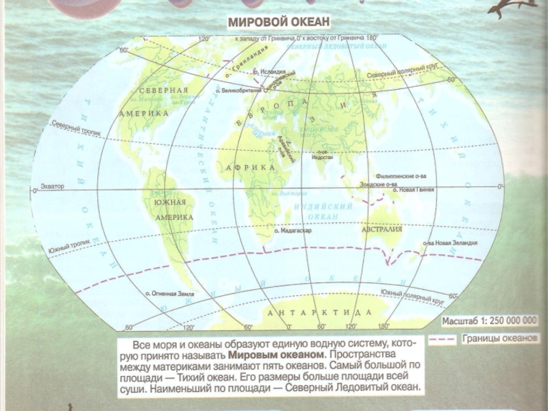 Океан граничит с сушей. Границы и названия океанов. Границы океанов и их названия. Границы океанов на карте.