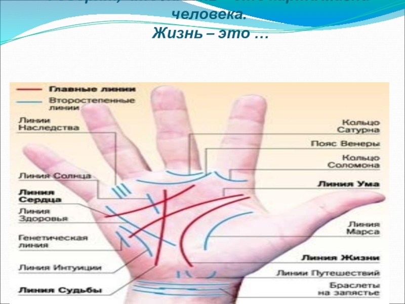 Карта жизни человека. Части ладони названия. Название частей ладошки. Внутренняя часть ладони. Стороны ладони название.