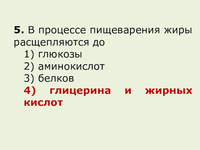 Тест по пищеварению 8 класс биология