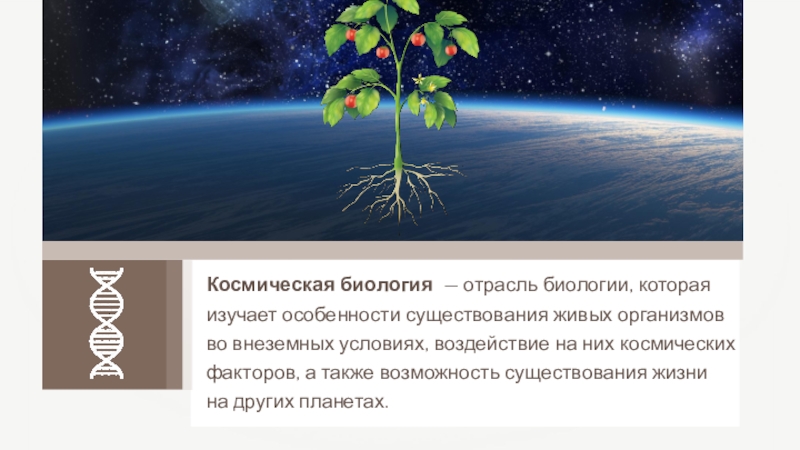 Космическая биология презентация