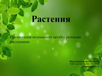 Растения