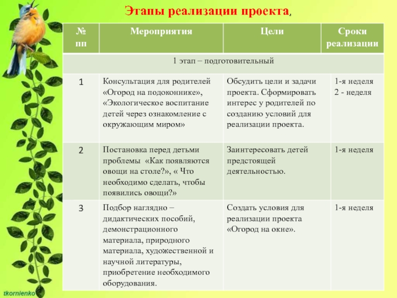 Этапы проекта в детском саду