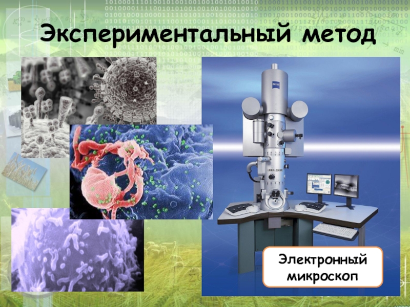 Методы биологических исследований картинки