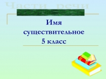 Презентация к уроку русского языка в 5 классе . Тема Существительное