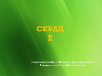 Презентация по биологии на тему Сердце