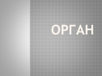 Презентация музыкальный инструмент Орган
