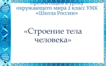 Презентация по окружающему миру на тему Строение тела человека (2 класс)