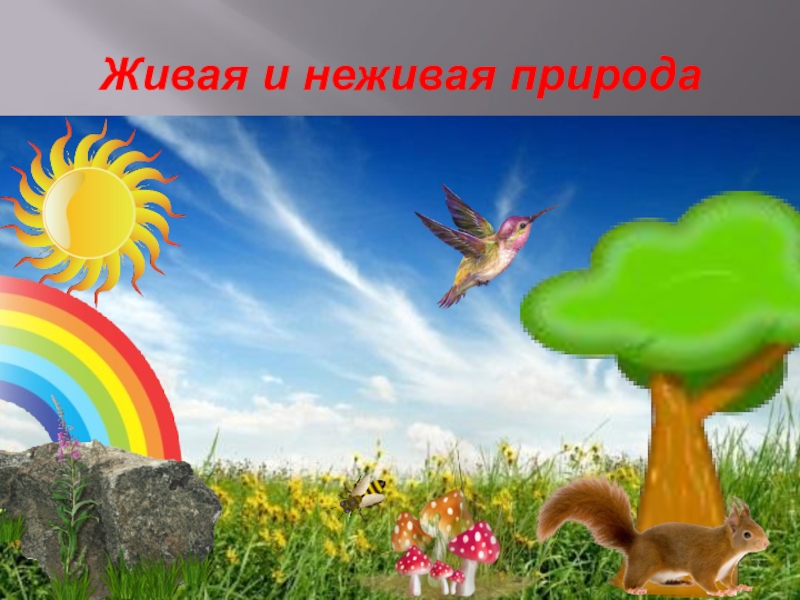 Россия живая неживая природа. Живая и не мивая природа. Живая природа и неживая природа. Живая неживая природа для детей. Беседа «Живая и неживая природа».