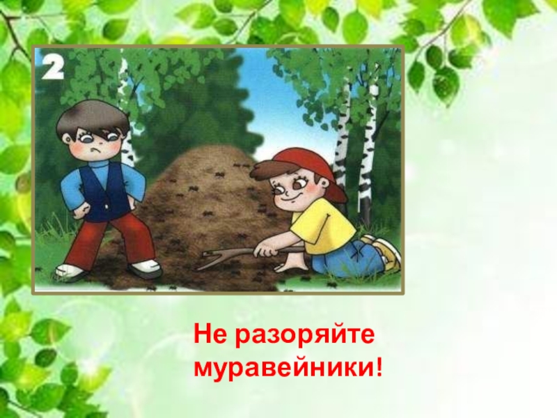 Правила безопасного поведения в природе презентация