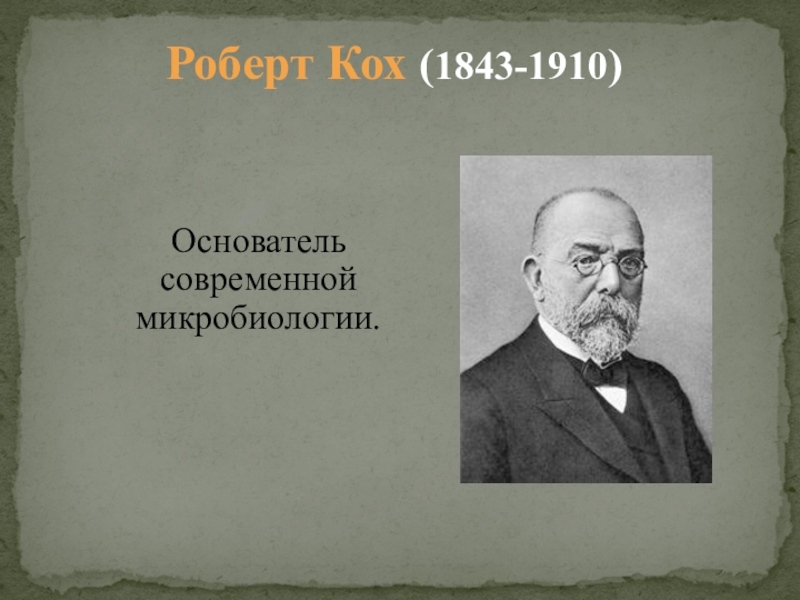 Основоположником современных. Кох биолог. Robert Koch микробиология. Роберт Кох вклад в биологию. Р Кох микробиология.