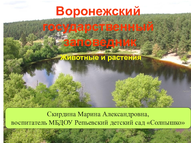 Воронежский государственный заповедник презентация