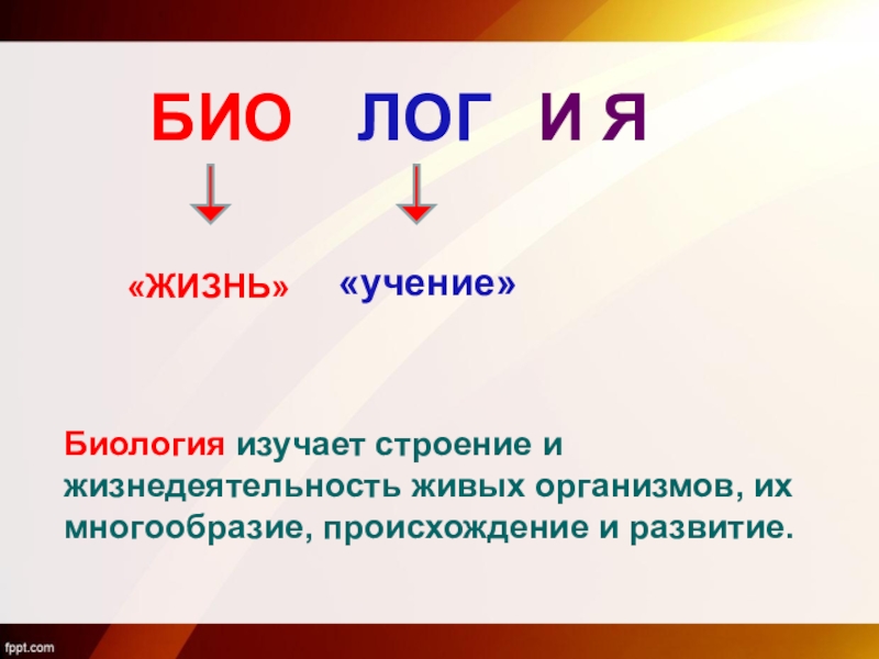 Биология изучает строение