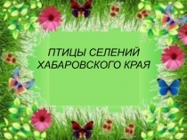 Презентация внеклассного мероприятия по биологии Птицы селений Хабаровского края