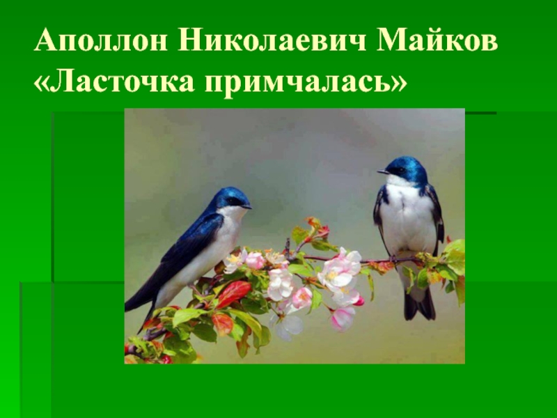 А майков весна ласточка промчалась 1 класс презентация