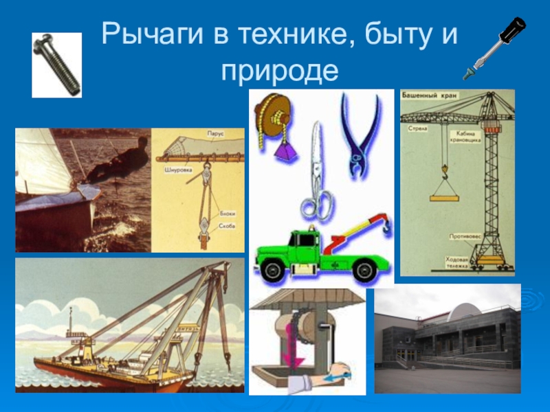 Проект простые механизмы физика