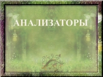 Презентация по биологии Анализаторы. Орган слуха