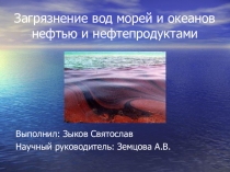 Исследовательская работа ученика 2 класса Зыкова Святослава