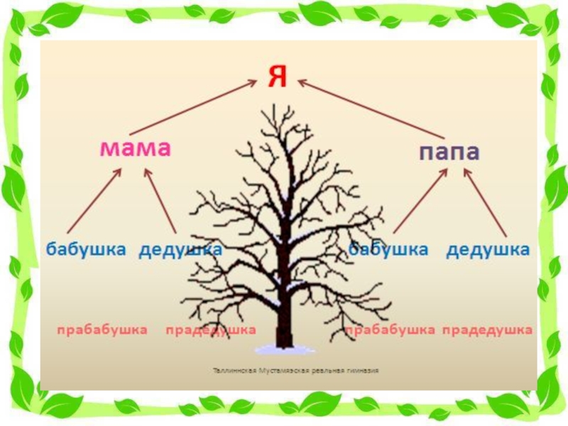 Проект по кубановедению 3 класс моя семья