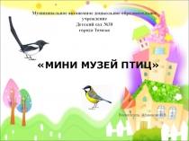 Презентация Организация мини музея - птиц в ДОУ.
