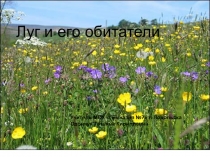 Презентация по окружающему миру на тему Луг и его обитатели 2 класс