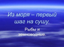 ПРЕЗЕНТАЦИЯ ПО ОКРУЖАЮЩЕМУ МИРУ РЫБЫ И ЗЕМНОВОДНЫЕ