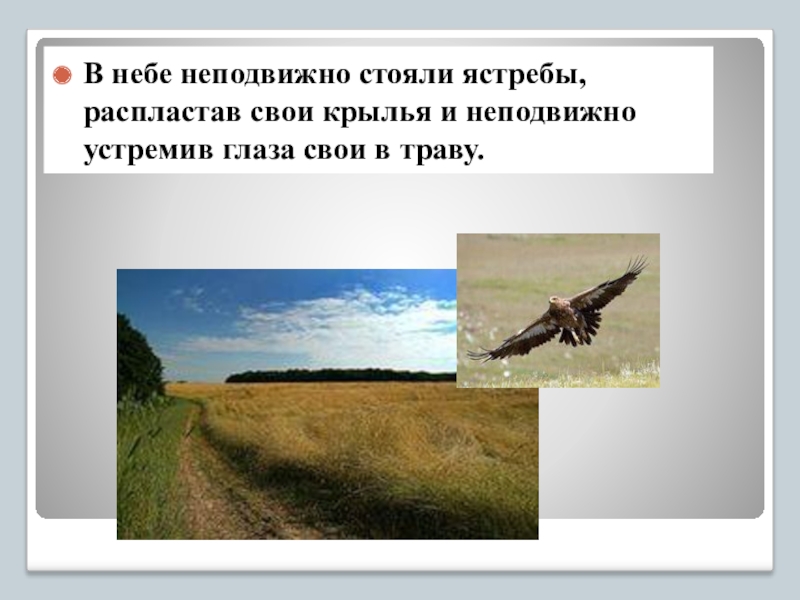 В небе неподвижно. В небе неподвижно стояли Ястребы распластав. В небе неподвижно стояли Ястребы распластав Крылья Горького. Льняное в небе неподвижно стояли Ястребы распластав Крылья. Распластав Крылья и устремив.