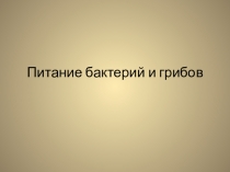 Питание бактерий и грибов (6 класс)