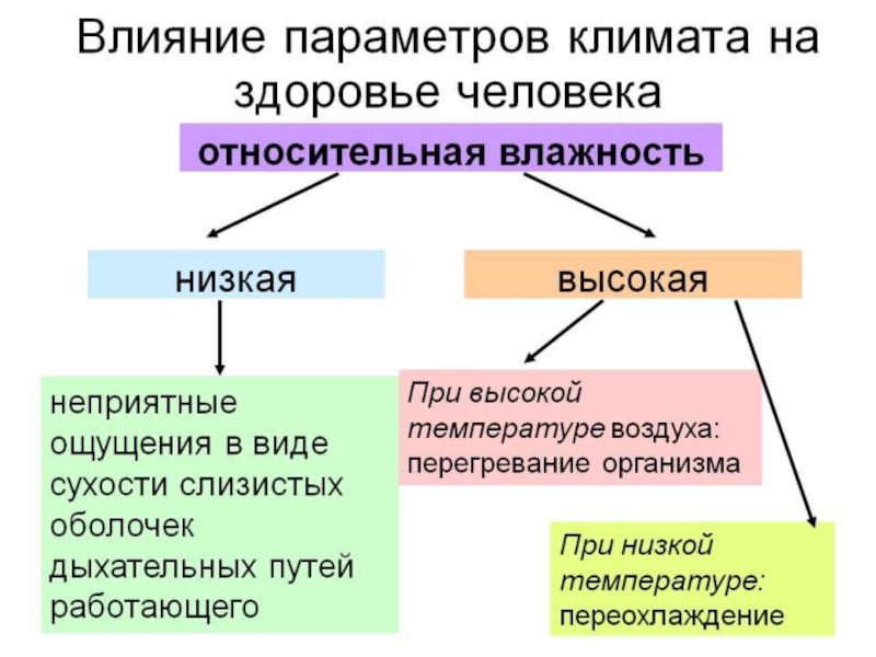 Влияние влажности воздуха на жизнедеятельность человека