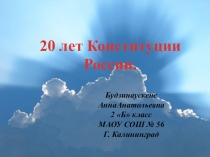 Презентация к классному часу 20 лет Конституции РФ
