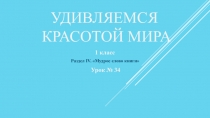 Презентация к уроку по библейской истории и христианской этике Удивляемся красотой мира, дары и заповеди Божии.