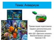 Аквариум. Разнообразие рыб, животных живущих в аквариуме.