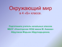 Презентация по окружающему миру к уроку в 4 классе по теме Тундра