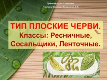 Презентация по биологии на тему  Плоские черви