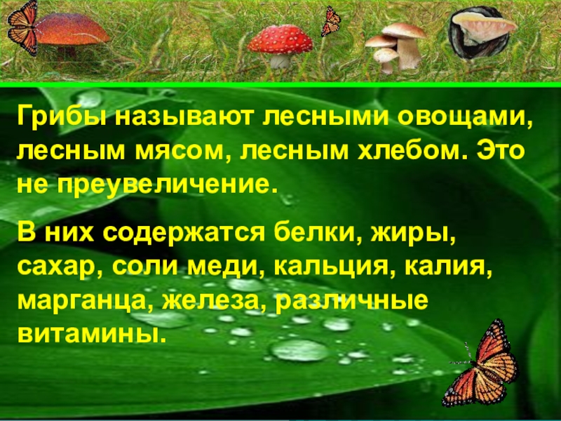 Презентация грибы и растения. Грибы презентация. Царство грибов презентация. Доклад про царство грибов. Презентация на тему царство грибов.