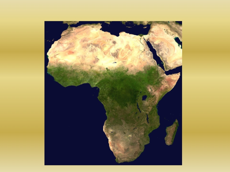 Презентация урока по географии Рельеф Африки (7 класс)