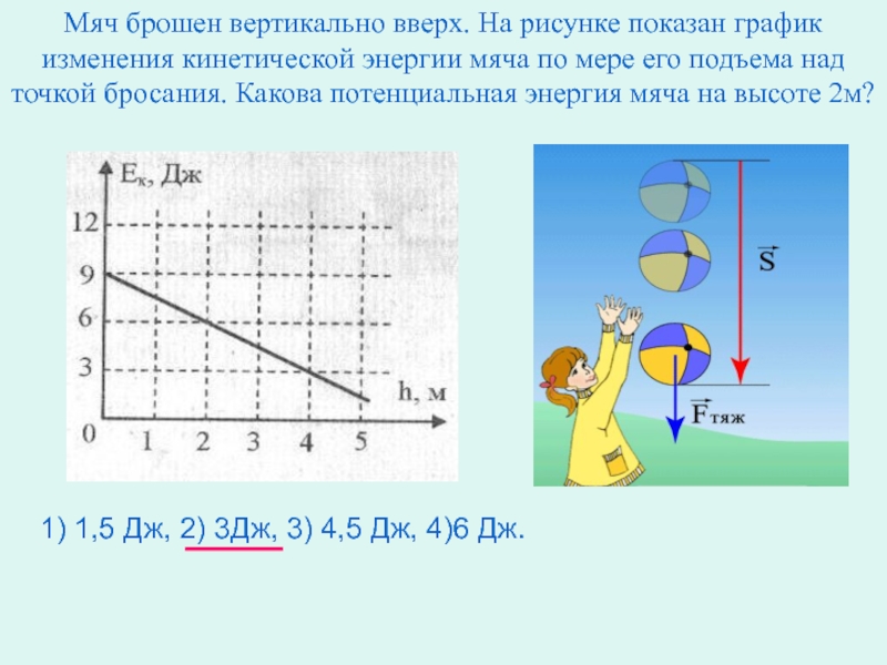 Мячик бросают вертикально вверх. Мяч брошен вертикально вверх. Тело брошенное вертикально вверх. График кинетической энергии тела брошенного вертикально вверх. Бросить мяч вертикально.