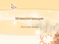 Презентация по биологии Летучие мыши (8 класс)