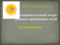 ЛОЛ ДПД Солнышко (презентация работы летнего лагеря)