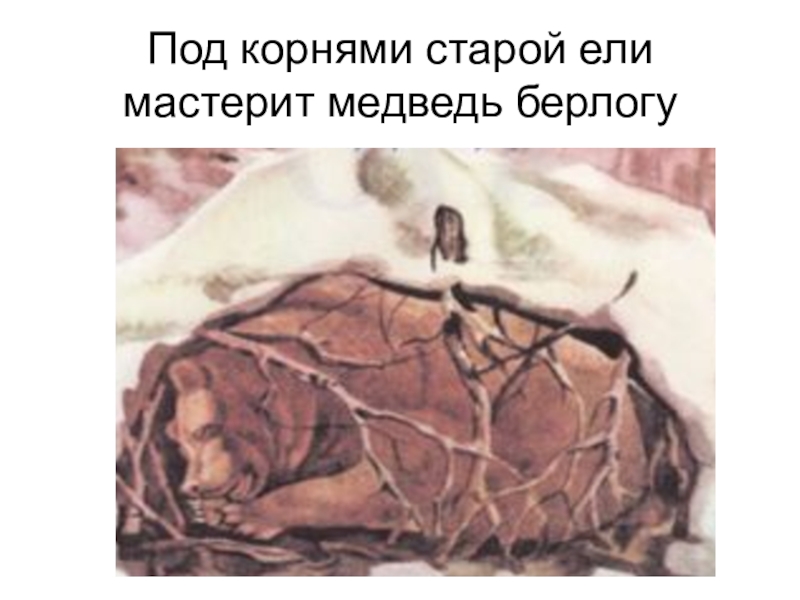 замочная скважина высказывания. мадурай фото. у нас на кавказе есть давняя традиция воровать невест. поговорка про дохлую лошадь. рассказ о пинаеве.