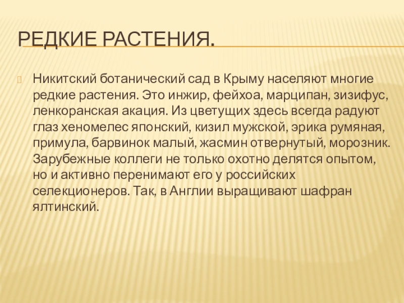 Редкие растения.Никитский ботанический сад в Крыму населяют многие редкие растения. Это инжир, фейхоа, марципан, зизифус, ленкоранская акация.