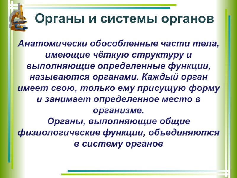 8 класс биология презентация на тему общий обзор организма