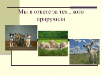 Презентация  Мы в ответе за тех, кого приручаем