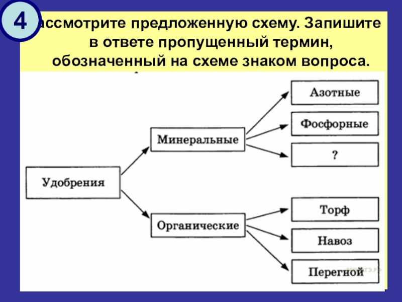 Рассмотрите предложенную схему запишите в ответе. Пропущенный термин, обозначенный на схеме знаком вопроса. Ответ:. Укажите пропущенное понятие в схеме. Запишите схему обработки мяса. На схеме знаком вопроса обозначен этап потребности в информации.