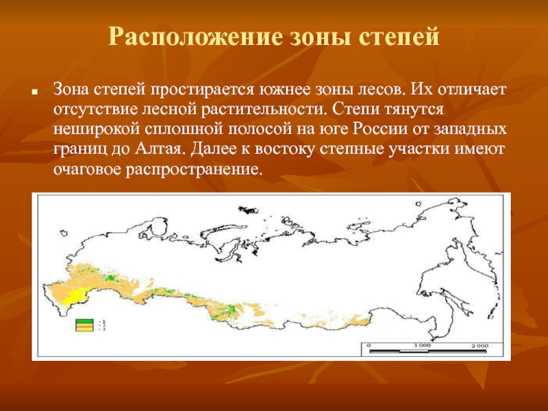 Расположение степей в россии вак рф авторефераты официальный сайт