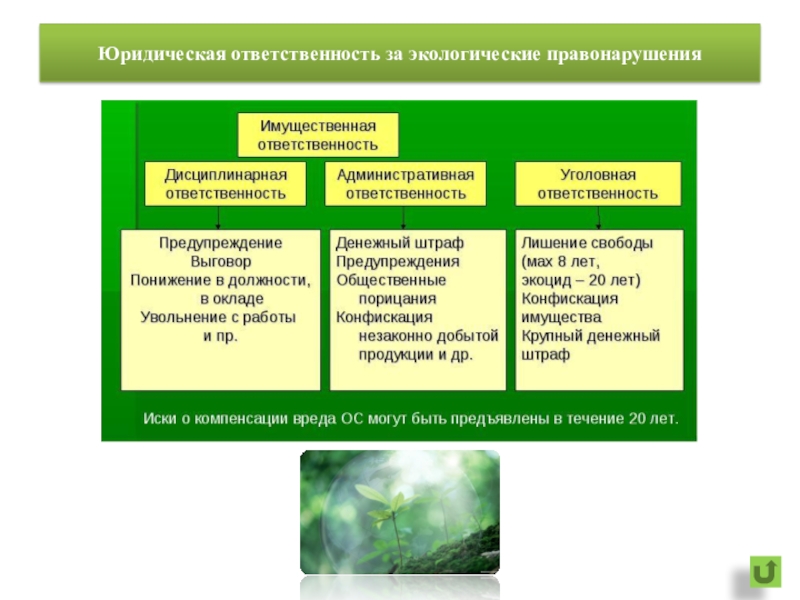 Схема юридической ответственности за экологические правонарушения по видам природных объектов