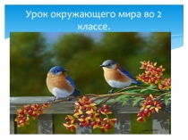 Презентация к уроку окружающего мира на темуВ гости к весне