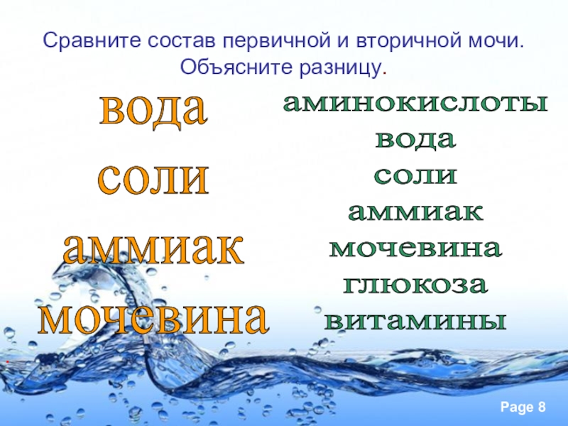 Сравнение состава первичной и вторичной мочи. Состав первичной мочи. Состав первичной и вторичной мочи. Состав первичной мочи и вторичной мочи. Состав и количество первичной и вторичной мочи.