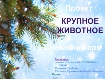 Презентация по Окружающему миру на тему Животный мир 2 класс Снежный барс.